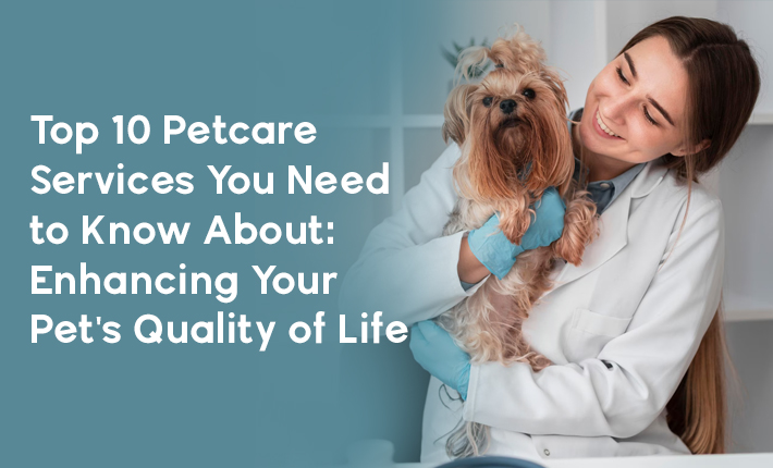 Top 10 Petcare Services You Need to Know About: Enhancing Your Pet's ...